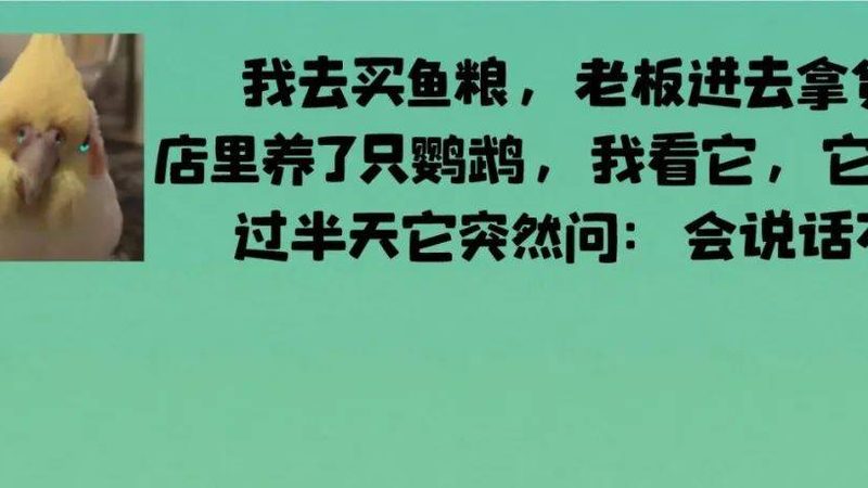 坚果炒货加盟代理，这些排名背后的真相